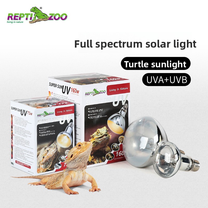 Calcium Powder Reptile - Reptizoo Reptile Sun Lamp-UVA+UVB 거북이/거북이용 전체