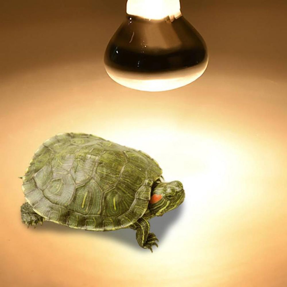 도마뱀 히터 열등 UVA 라이트 파충류 할로겐 전구 일 - Basking Bulb Halogen 리뷰 및 가격