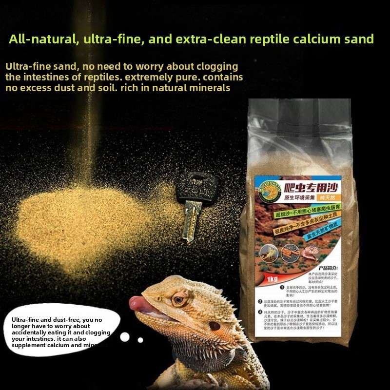 파충류 모래 칼슘 모래, 턱수염도마뱀 사막 서식지 바닥 - Calcium Powder Reptile 리뷰 및 가격