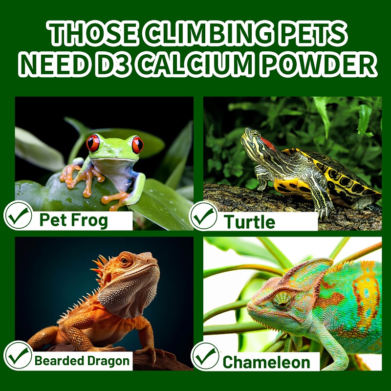 수달류, 파충류, 거북이, 개구리, 카멜레온 등 애완동 - Calcium Powder Reptile 리뷰 및 가격
