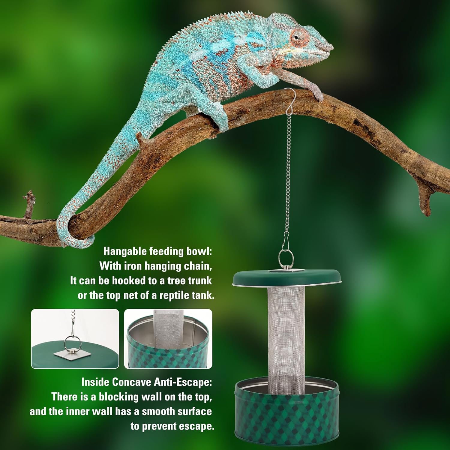 수염도마뱀 먹이통 카멜레온 벌레 그릇 파충류 먹이통 벽 - Water Dish Reptile 리뷰 및 가격