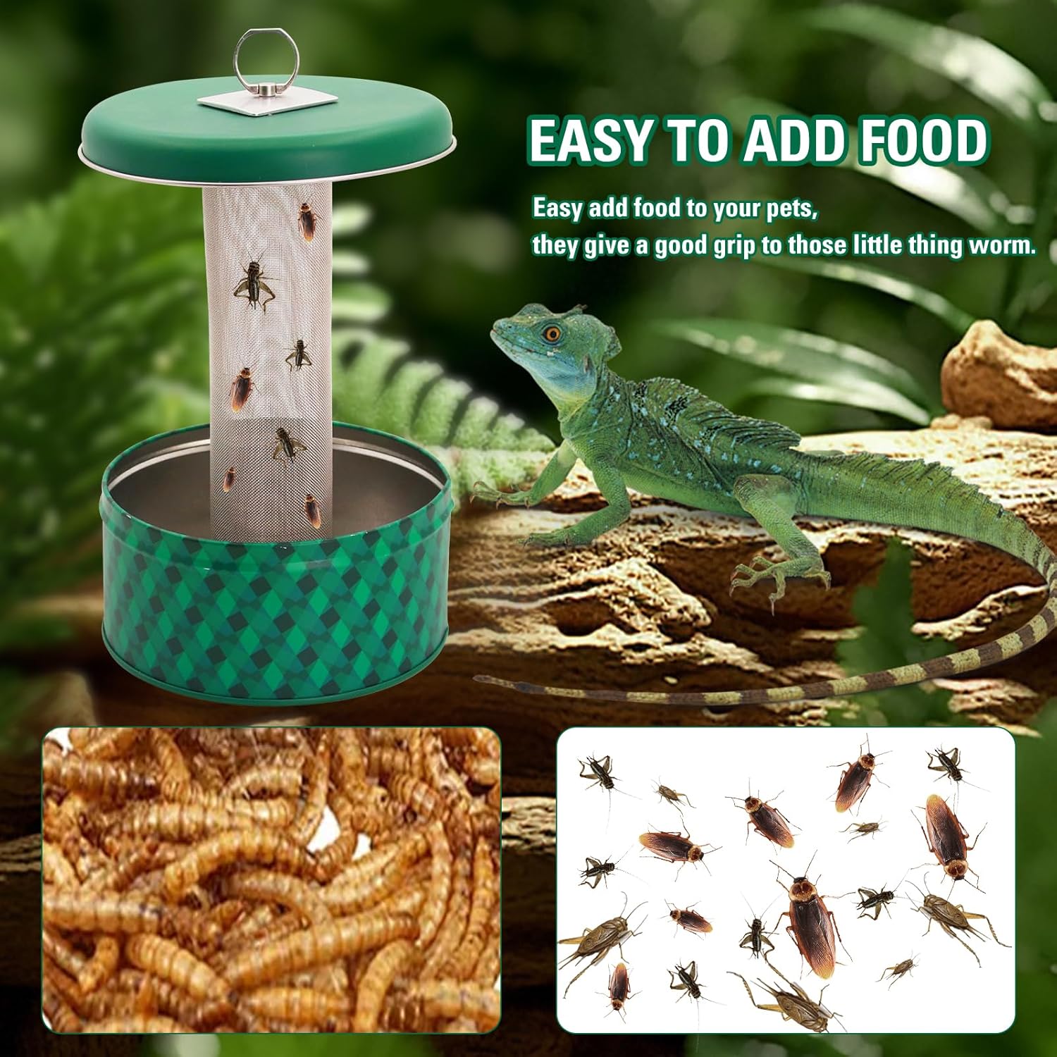 수염도마뱀 먹이통 카멜레온 벌레 그릇 파충류 먹이통 벽 - Water Dish Reptile 리뷰 및 가격