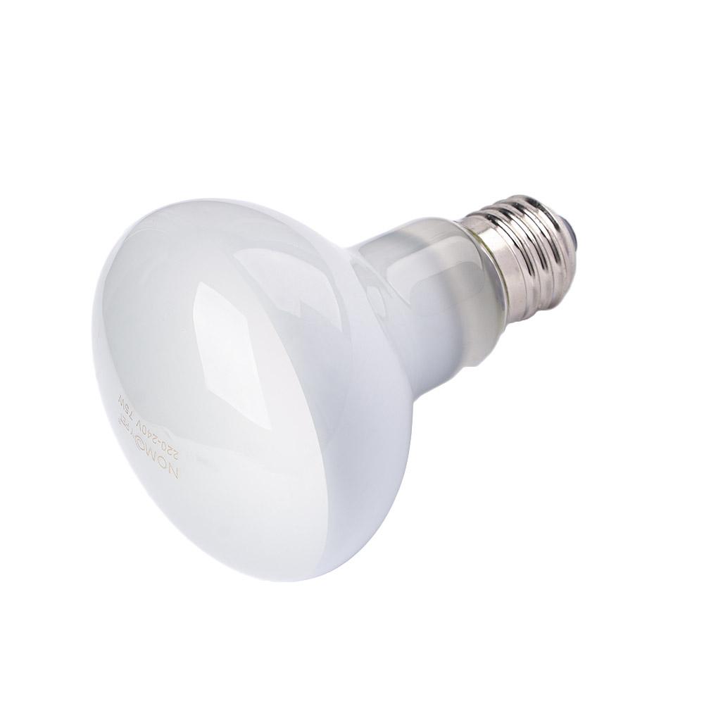 거북이 히터 열 램프 파충류 바스킹 라이트 UVA 라이 - Basking Bulb Halogen 리뷰 및 가격