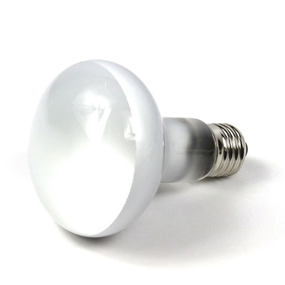 거북이 히터 열 램프 파충류 바스킹 라이트 UVA 라이 - Basking Bulb Halogen 리뷰 및 가격