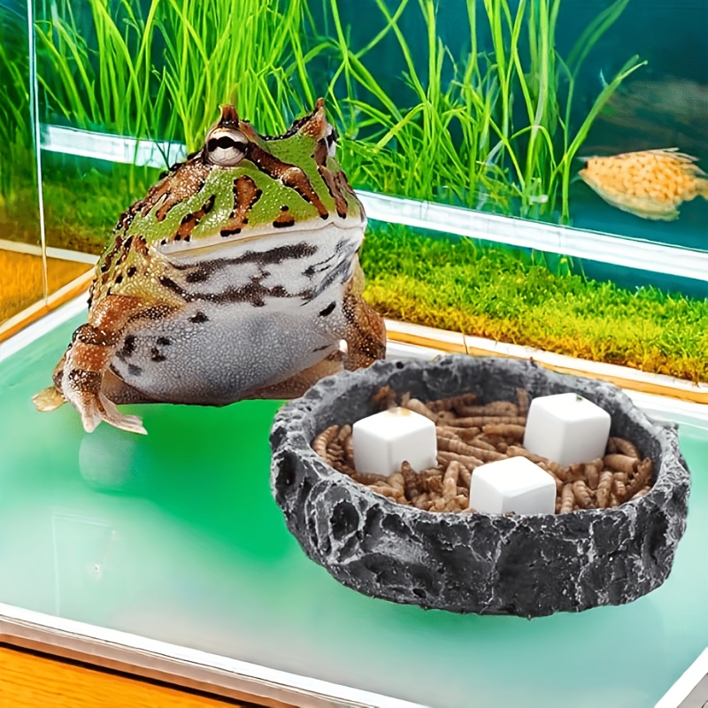 어항용 칼슘 블록 6개 세트, 미네랄, 수족관 용품,  - Calcium Powder Reptile 리뷰 및 가격